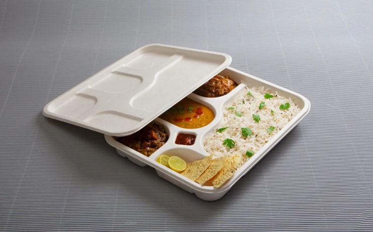 Driving the Sustainable Shift: India’s Bagasse Tableware Market Revolution and Eco-Friendly Products