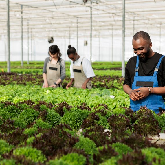 Africa Agritech Start-ups and Opportunities - Adoption of Sustainable Technology