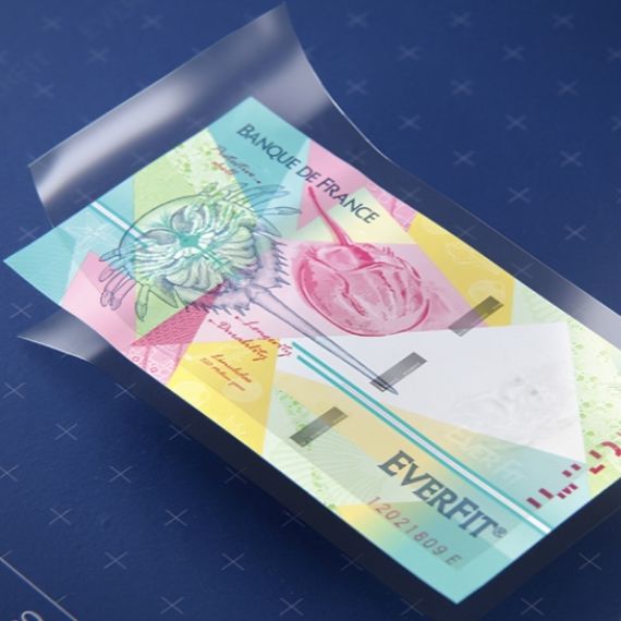 Asia-Pacific Polymer Banknote Substrate Market Size and Forecast (2018-2030) - Analysis of Polymer Banknote Adoption Trends by Country