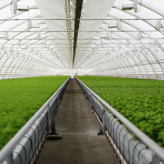 Argentina Agritech Market Size, Share, and Growth Forecast (2021–2030) – Analysis by Farm Size, Technology, Application, and Geography 